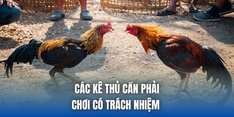 Các kê thủ cần phải chơi có trách nhiệm 