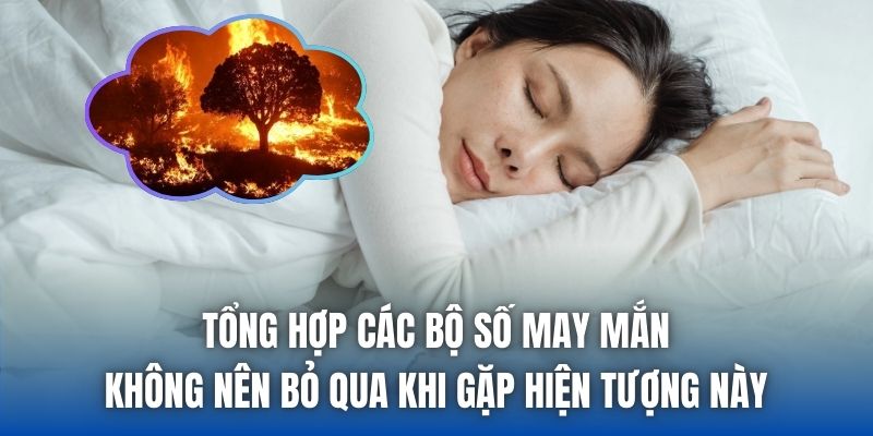 Tổng hợp các bộ số may mắn không nên bỏ qua khi gặp hiện tượng này