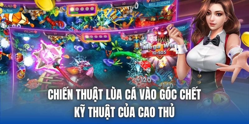 Chiến Thuật Lùa Cá Vào Góc Chết | Kỹ Thuật Của Cao Thủ