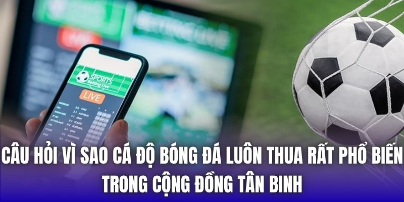 Câu hỏi vì sao cá độ bóng đá luôn thua rất phổ biến trong cộng đồng tân binh